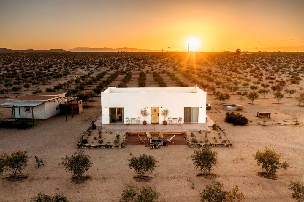 The Best Farm Stays On Airbnb, From Cattle Ranches To Olive Groves