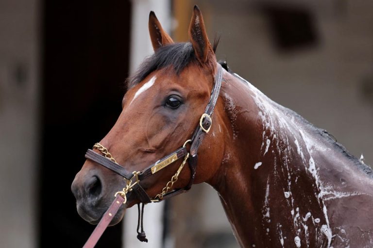 Pacific Classic 2025: Post Positions, Odds, And Contenders