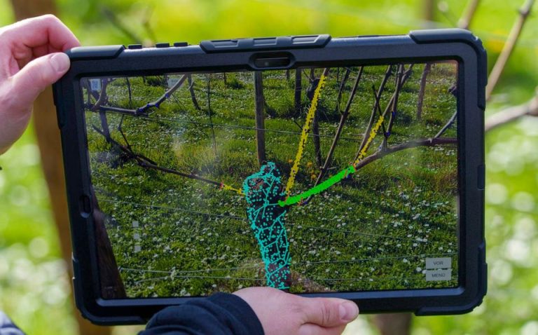 How AI And Big Data Are Pushing The Next Wave Of Sustainable Innovation