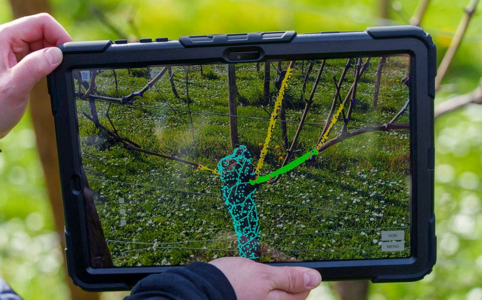 How AI And Big Data Are Pushing The Next Wave Of Sustainable Innovation