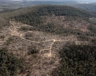 State Owned Forestry Corporation Charged With 29 Offences Related To Failing To Protect Threatened Species