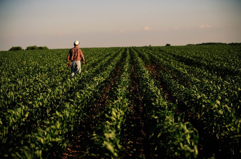 Rural America Is Suffering An Economic Crisis As Crop Prices Plunge — ‘U.S