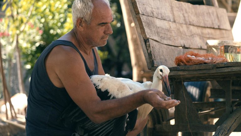 ‘The Tale Of Silyan’ Review: Folktale Meets Nonfiction In A Captivating Look At A Struggling Farmer And The Injured Stork He Rescues