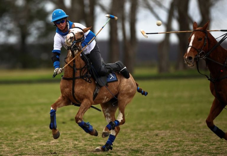 World's First Gene Edited Horses Are Shaking Up The Genteel Sport Of Polo