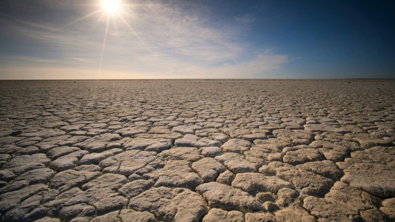 No Clicks, No Content: The Unsustainable Future Of AI Search