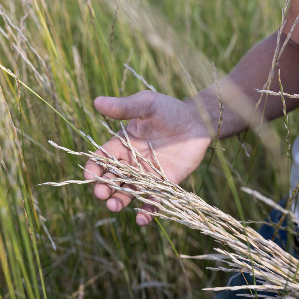Patagonia Changed The Apparel Business