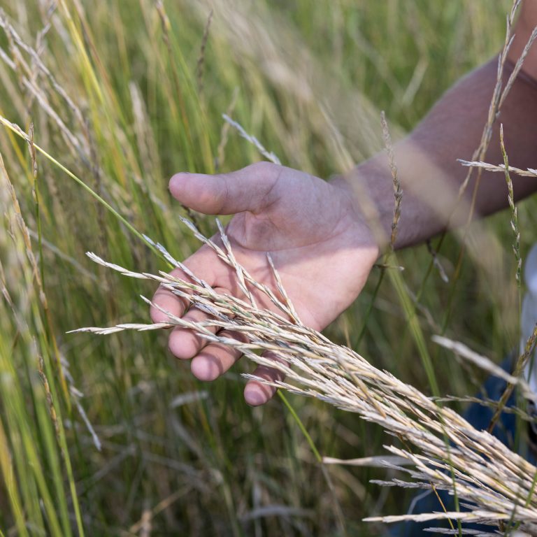 Patagonia Changed The Apparel Business
