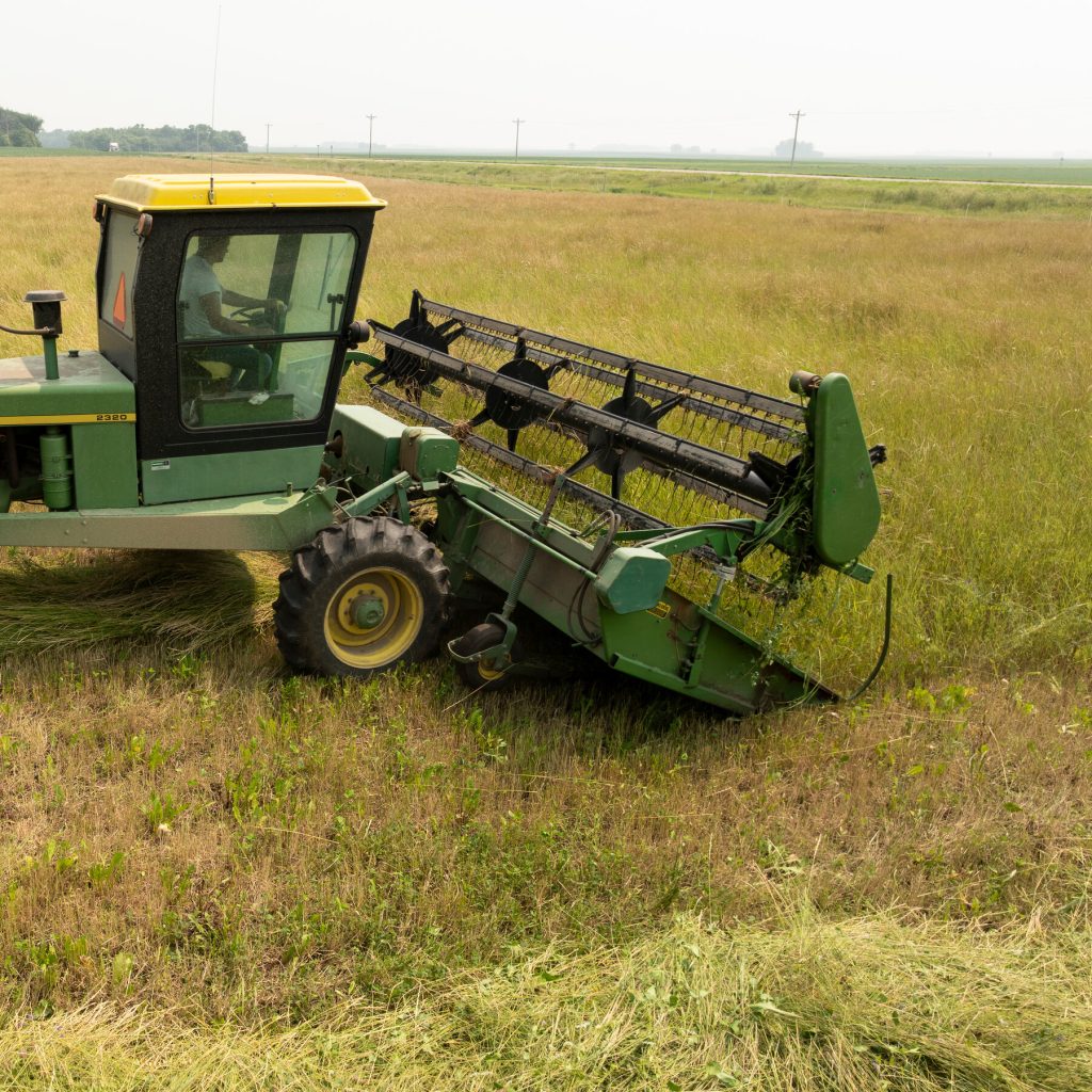 Patagonia’s Big Bet On A Modest Grain