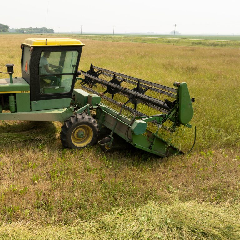 Patagonia’s Big Bet On A Modest Grain