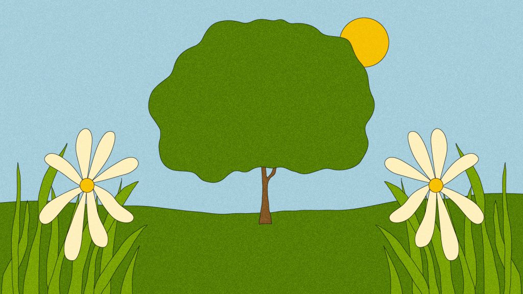 The Words We Use To Talk About Nature Are Disappearing. Here’s Why That Matters