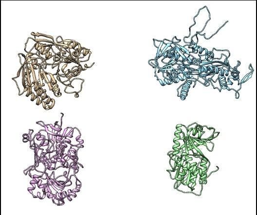 Next Generation Technologies To Unlock Nature’s Enzyme Superpowers