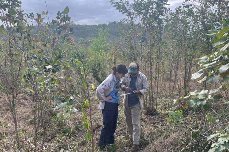 After Controversies, Plant For The Planet Plots Its Comeback