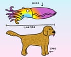 Giant Cuttlefish! They Are In Danger And Scientists Are Going To Save Them With … Bubbles! | First Dog On The Moon