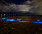 ‘Cosmic’ Bioluminescent Algae Lights Up Melbourne’s St Kilda Beach