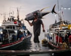 Draining The Sea: Fishing In Crisis In South East Asia – In Pictures