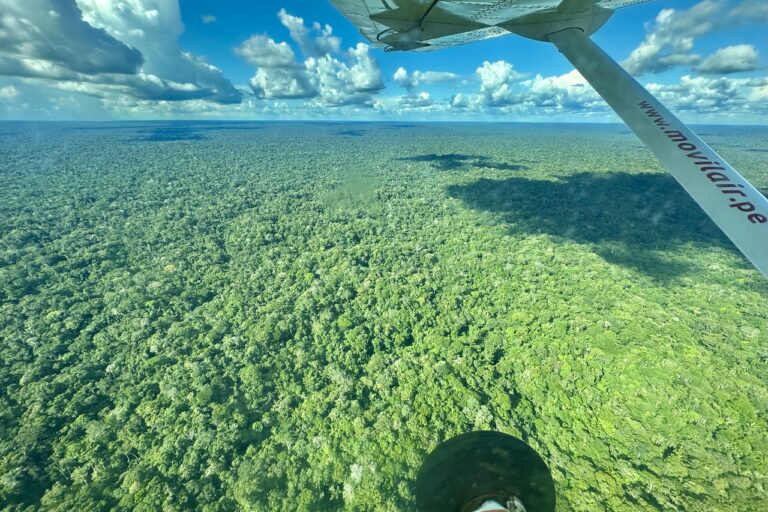 Report Sees $20B In Revenue For Amazon REDD+ Projects Despite Unmet Promises