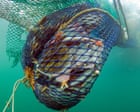 Bottom Trawling To Continue In English Protected Waters, Government Rules