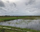 Burning On England’s Deep Peat Banned
