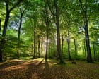 Area Of England Well Protected For Nature Is In Decline, Data Shows