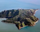 Survivor’s Island: Coyotes Seen Paddling Across Deep San Francisco Bay Waters