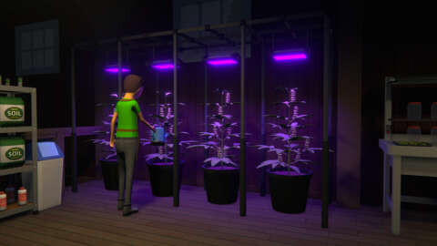 Vote Now To Choose Schedule 1's Next Big Feature