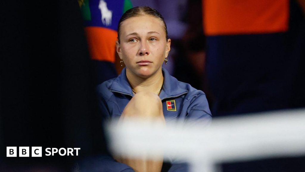 I Didn't Fight Hard Enough For My Dreams   Anisimova