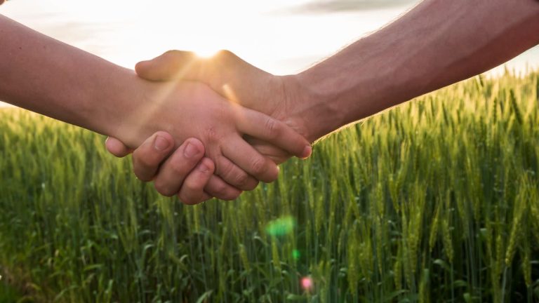 Oakbridge Teams Up With Alliance Ag For Farm Insurance Services