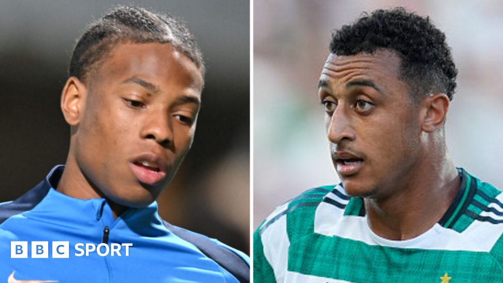 Vipotnik Set To Stay As Swansea Eye Three Signings