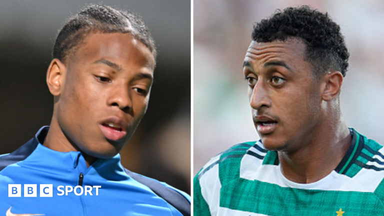 Vipotnik Set To Stay As Swansea Eye Three Signings