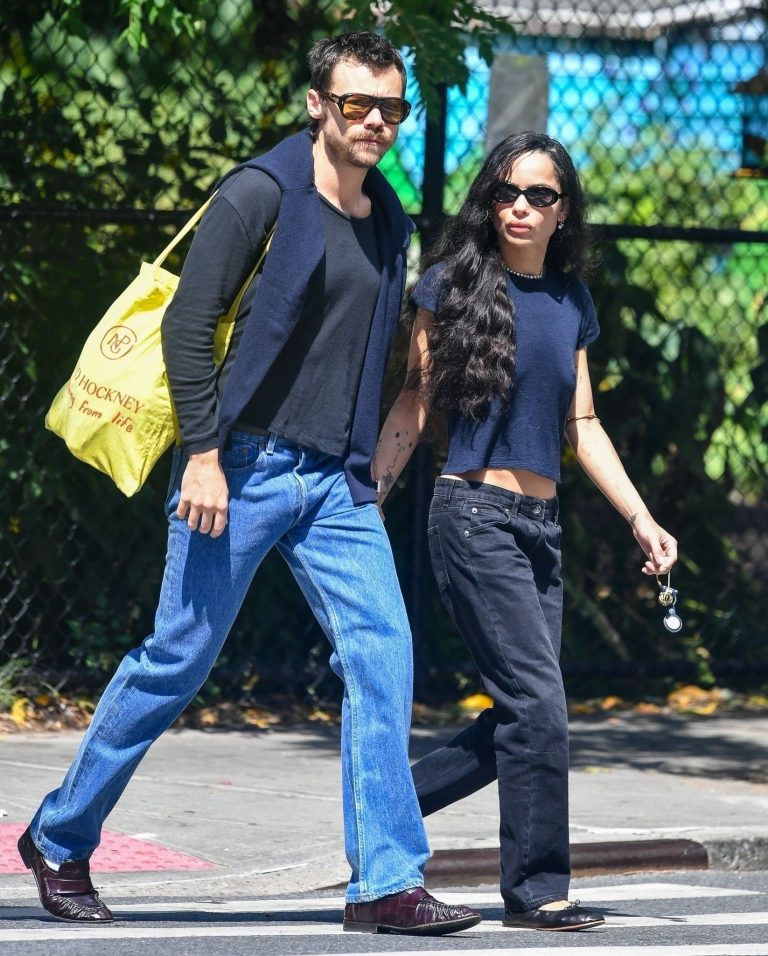 Welcome To Harry Styles Zoë Kravitz Autumn