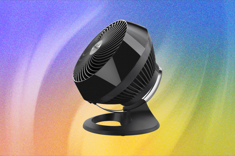 The 15 Best Fans To Cool You Year Round (2025)