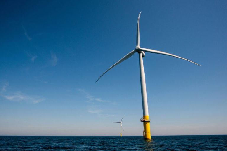 The Whimbrel And The Wind Turbines: Capable Of Coexistence?