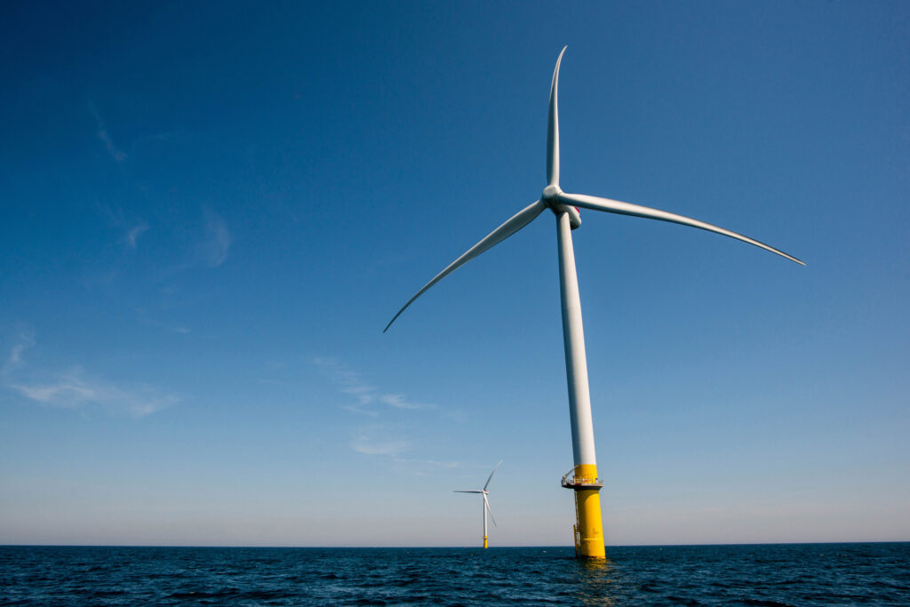 The Whimbrel And The Wind Turbines: Capable Of Coexistence?
