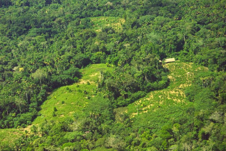 Peru Votes Against Creating New Indigenous Reserve In Amazon Region