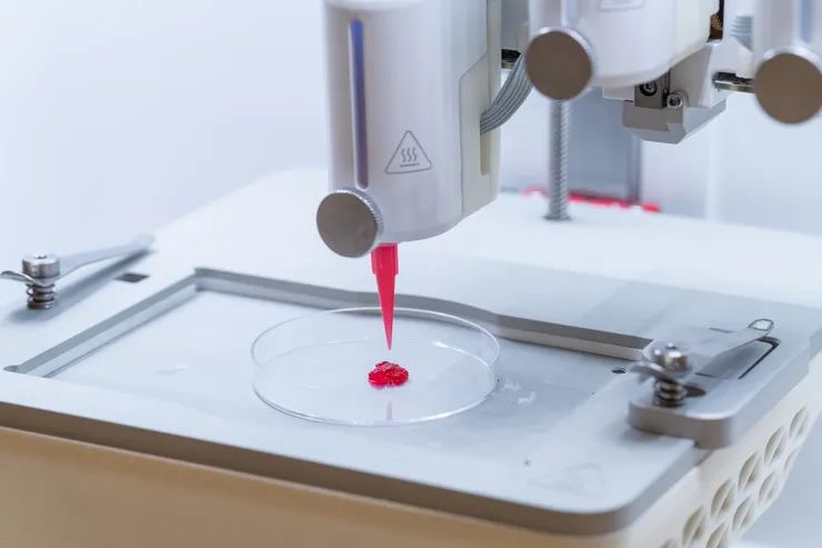 Researchers Create 3D Printed Artificial Skin That Allows Blood Circulation