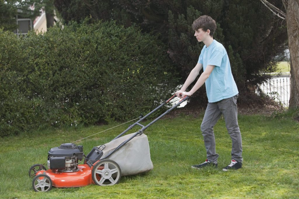 AI Told Me Hilariously Wrong Things About Elon Musk’s Childhood Job At A Landscaping Company—here’s Why That Matters On Labor Day
