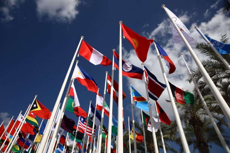The Climate And Biodiversity Knowledge We Lose When Everything’s In English