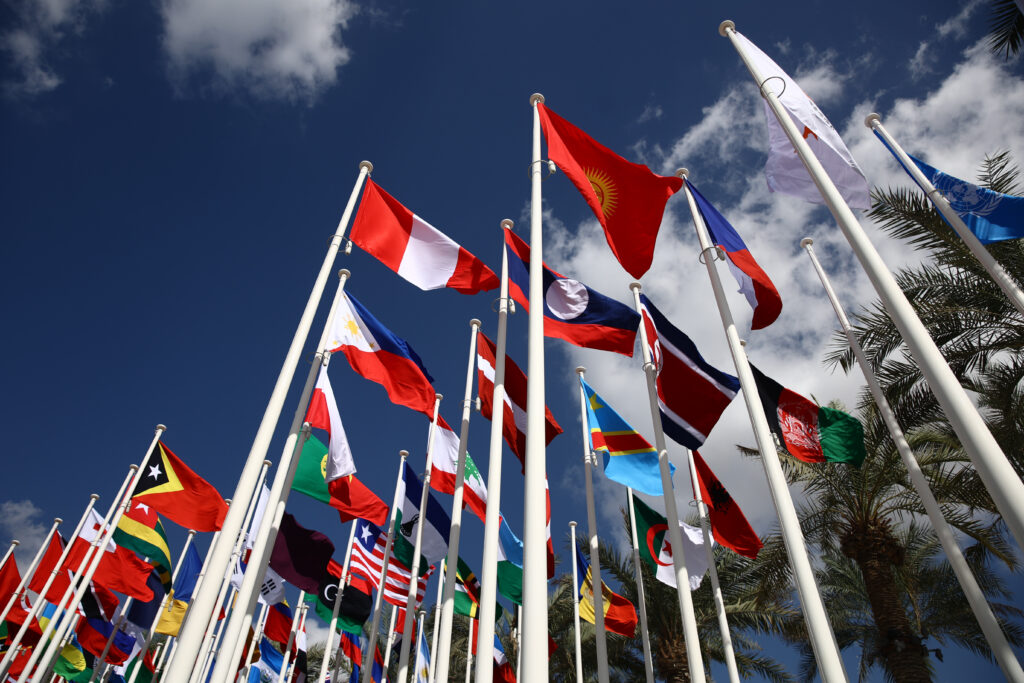 The Climate And Biodiversity Knowledge We Lose When Everything’s In English