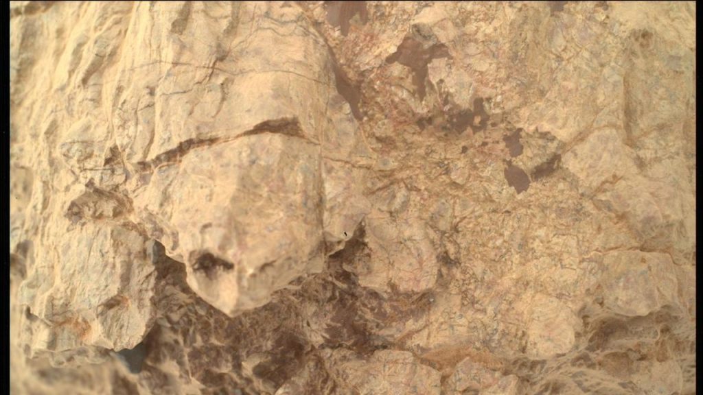 NASA Perseverance Rover Spies A 'turtle' On Mars | Space Photo Of The Day For Sept