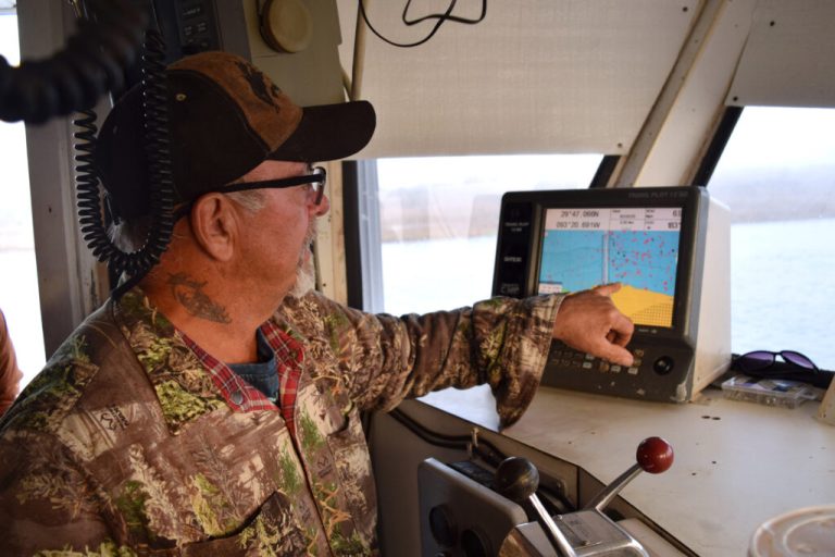 ‘Because Of The Goddarn Plant