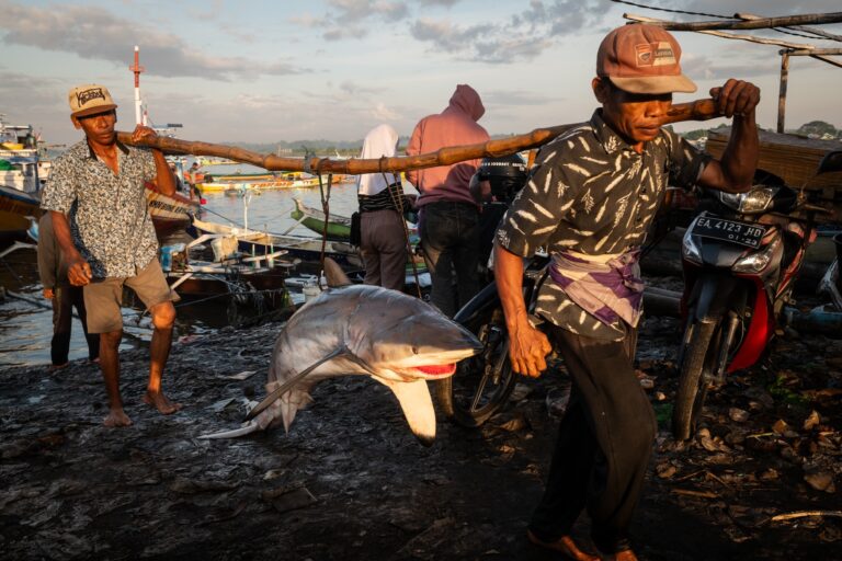 Photos Documenting Overfishing Impacts In SE Asia Win Journalism Award