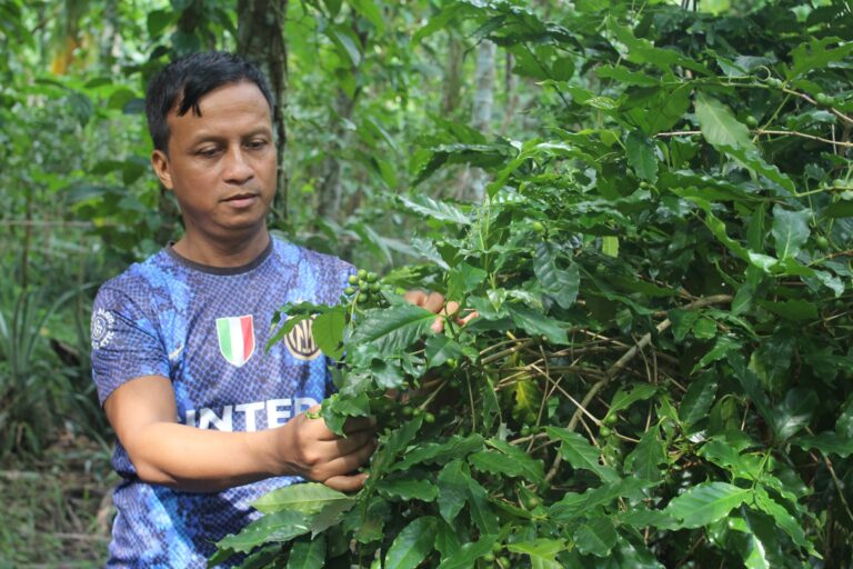 Indigenous Khasis Struggle To Sustain Forest Based Livelihoods In Bangladesh