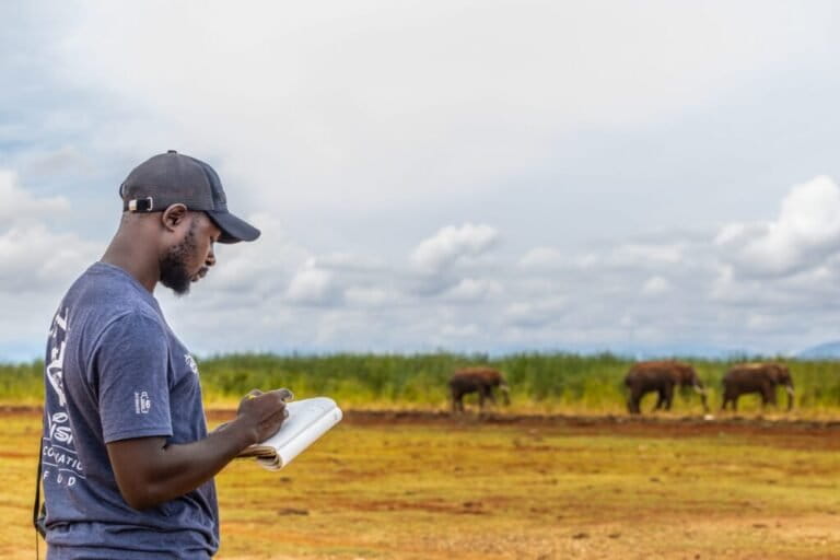 African Wildlife Conservation Is Local Communities’ Burden (commentary)