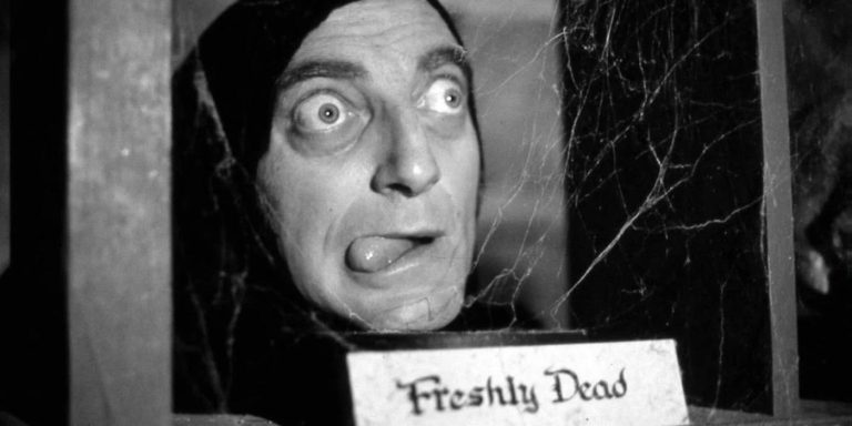 Mel Brooks Reunites With Cary Elwes For Very Young Frankenstein Series