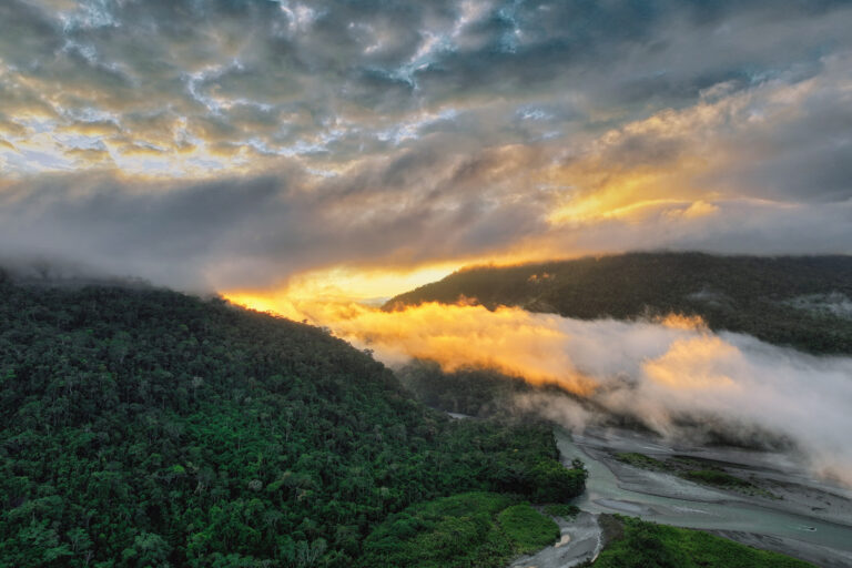 Why Is Rainfall Declining In The Amazon? New Research Says Deforestation Is The Leading Driver