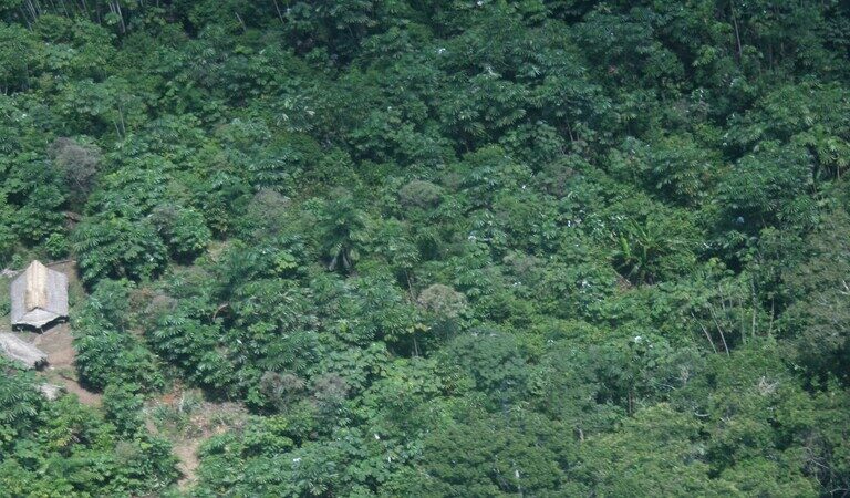 Isolated Tribes Under Threat As Peru Votes Down Yavarí Mirim Indigenous Reserve
