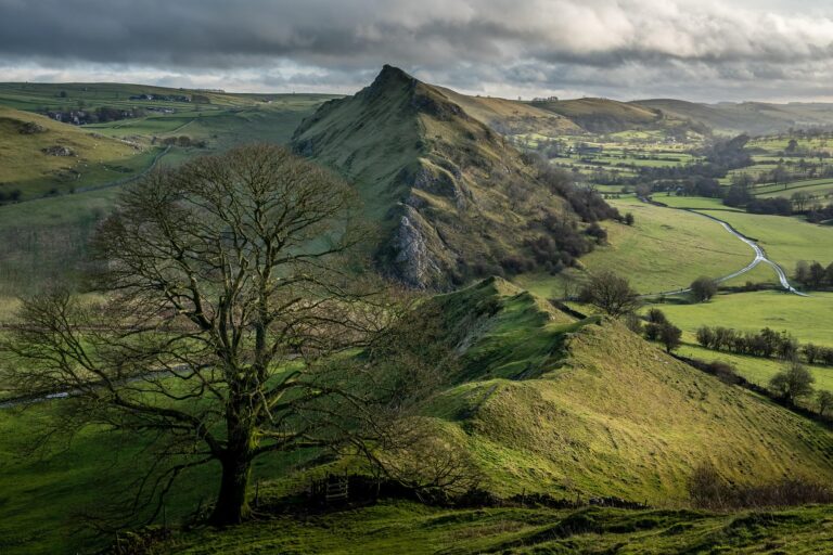 From Beavers To Bison: England’s Rewilding Revolution