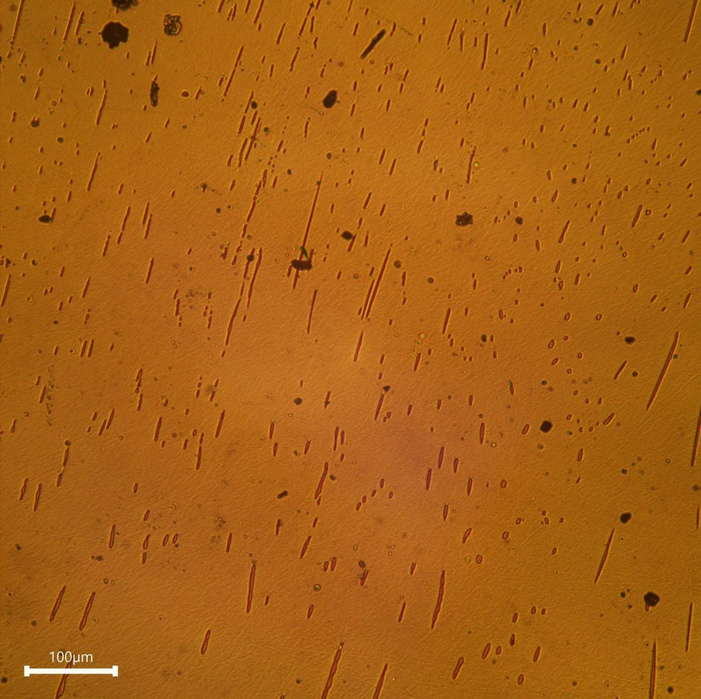 NASA, Northrop Grumman To Send Medical, Technology Studies To Space