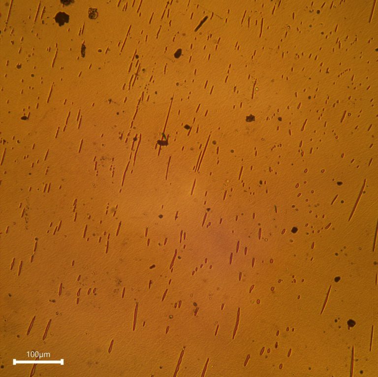 NASA, Northrop Grumman To Send Medical, Technology Studies To Space