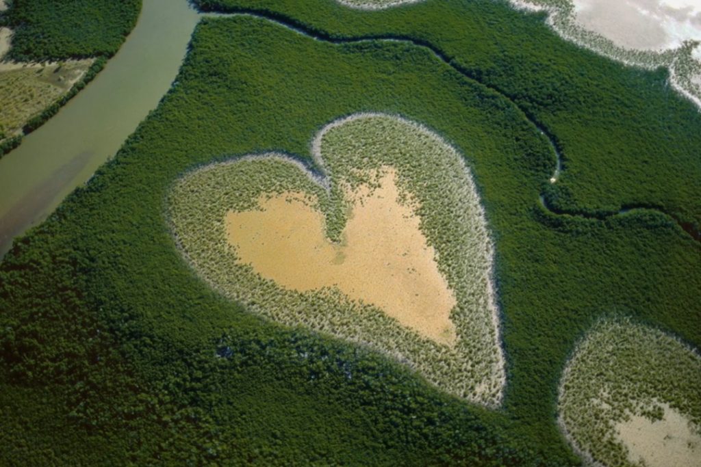 Federation International Sells Yann Arthus Bertrand’s ‘Nature’ To ZDF, Ceska TV And Sets Prestige Screening At Unifrance Le Havre Showcase (EXCLUSIVE)